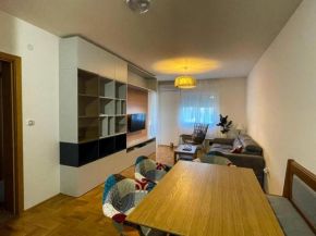 Luxury apartment Seljanovo